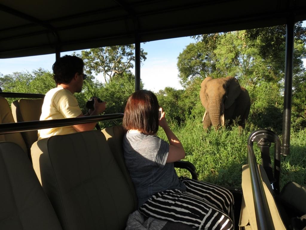 Honeyguide Tented Safari Camp - Khoka Moya マンイェレティ・ゲーム・リザーブ エクステリア 写真